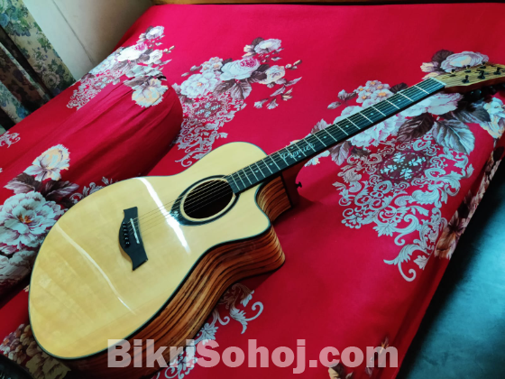 Acoustic Guitar